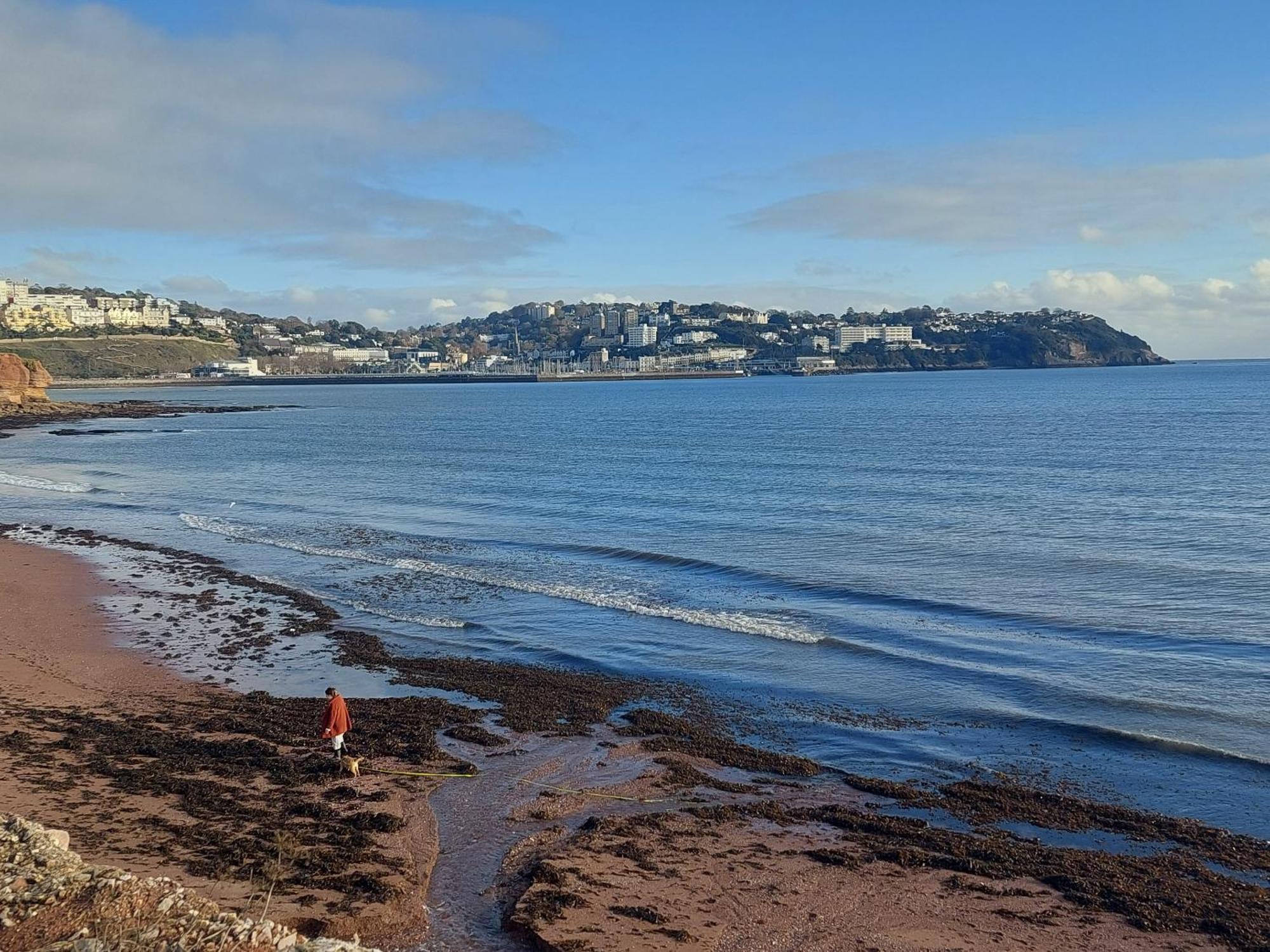 The Seaview Suites At The Corbyn Apartments Torquay Zimmer foto